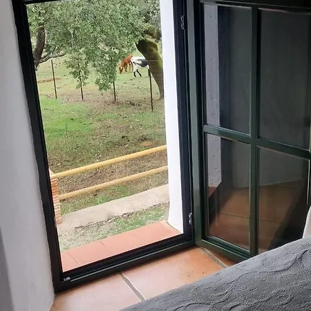Cabrillas La Nava